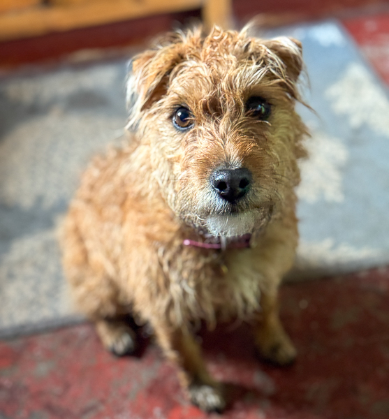 I’ve Done Too Much