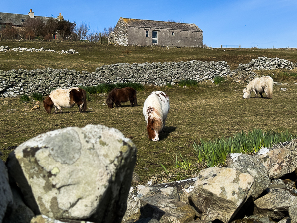 Everyone Bare Nekkid