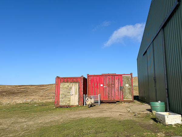 The Grass is Always Greener