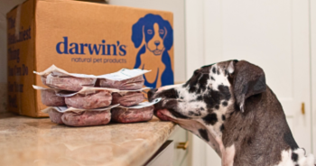 Inside Darwin’s Raw Dog Food: Real Ingredients You Can Actually Recognize