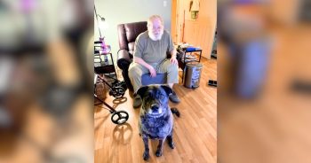 How iHeartDogs Hero VIP Club Members Helped Viola Find Hope After Heartbreak