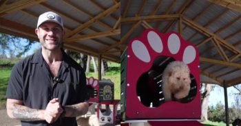 New Training Center Opens at The Asher House, Expanding Care for Rescue Dogs