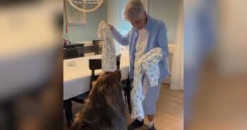 Grandma and Her Giant Dog Twin in Matching Homemade PJs for a Sleepover