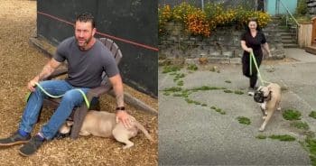 After Waiting So Long, These Overlooked Shelter Dogs Finally Got Their Chance