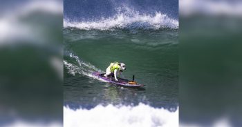 Sugar, the World Champion Surfing Dog, Has Passed Away but Leaves a Legacy Bigger Than the Ocean