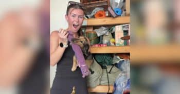 The Nose Knows, and This Mini Dachshund Just Made Her Mom a Believer