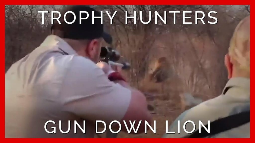 Trophy Hunter Trampled by Elephants Protecting a Calf While on ‘Sport’ Hunt in Gabon