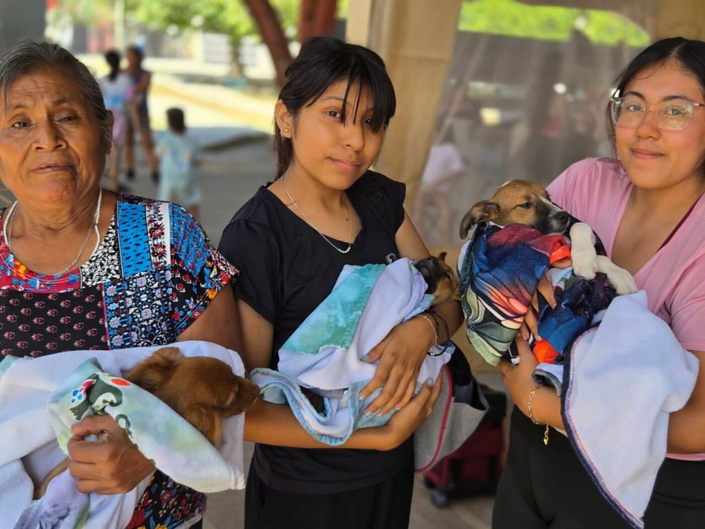 Sun, Sand, and Snips! How PETA Latino’s 4-Day Spay-a-Thon Changed Lives in Cancún