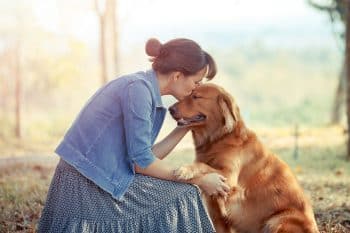 11 Dog Breeds As Loyal As A Golden Retriever