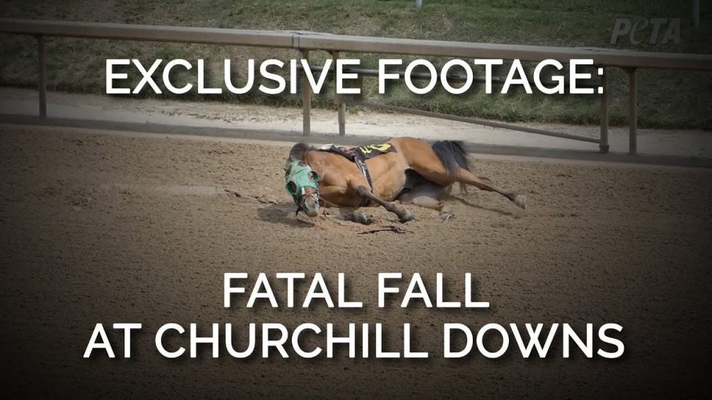 Demolition Derby: The Problem With the Kentucky Derby Is Churchill Downs
