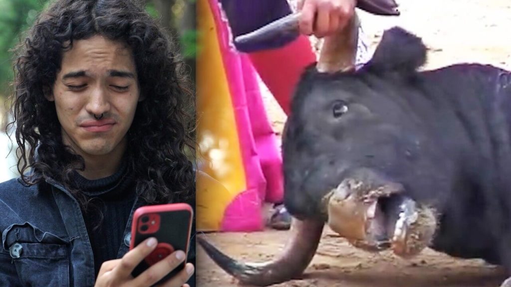 The Fall of Bullfighting in Mexico: Legal, Moral, and Scientific Perspectives