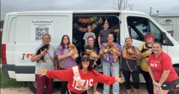 Hero VIP Club Fueled This Heartwarming Journey From Texas Shelters To Forever Homes
