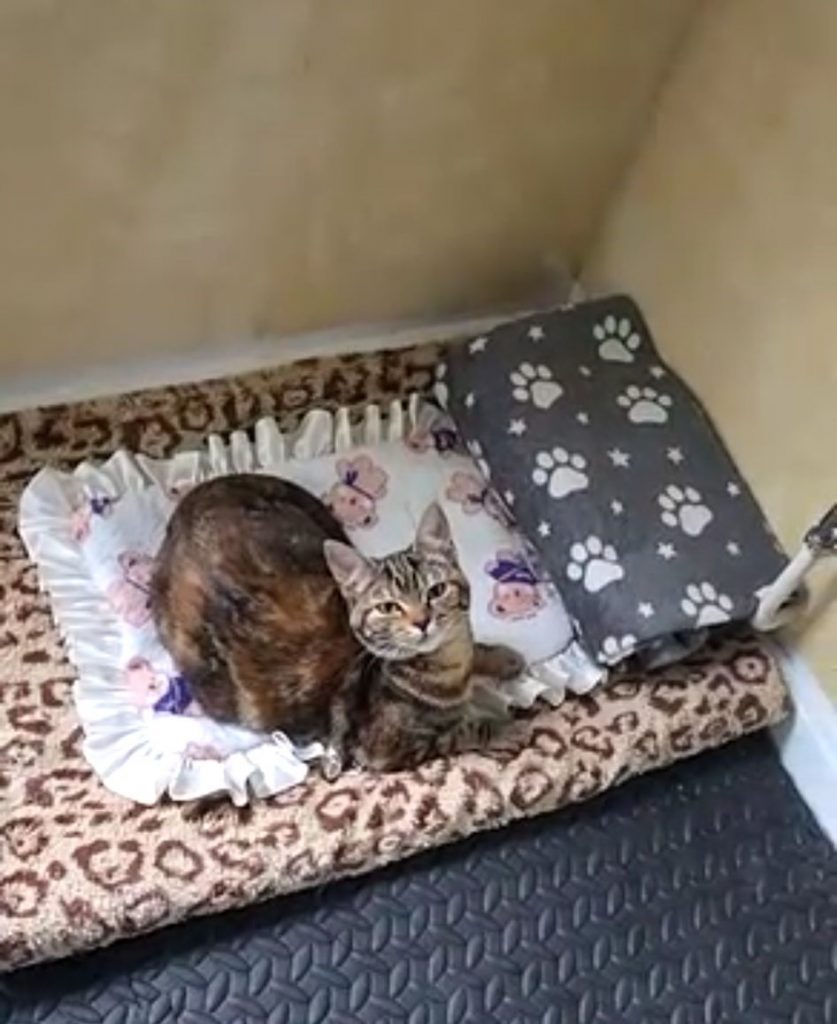 MINSTY & BABY