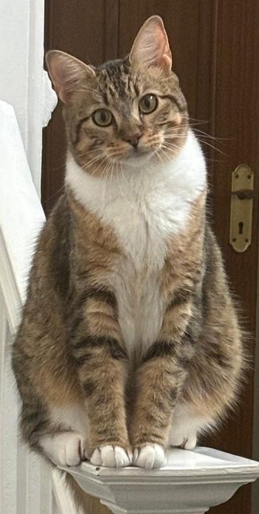 Charlie