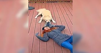 Doorbell Camera Captures the Sweetest Moment Between Woman and Her Dog