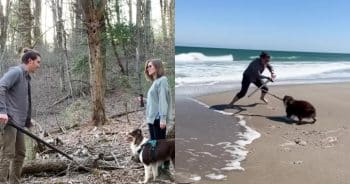 Meet Lady Pinto Bean, the Noble Dog Who Became a Sword-Wielding Legend