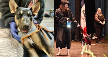 Dog Saved by Vet Students Makes Surprise Appearance at Graduation