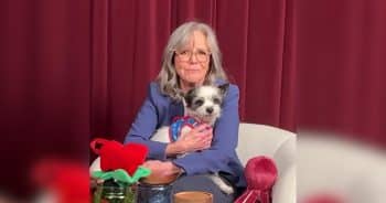 Sally Field and Lewis Pullman Have Sweet Moment With Senior Rescue Dog