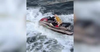 Dog Goes Viral After Being Spotted Riding a Jet Ski While Dad Hoverboards