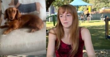Florida Woman Warns Pet Parents After Dog Dies From Toxic Cane Toad