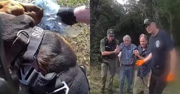 “Good Boy” K-9 Rescues Missing 96-Year-Old Man From Woods