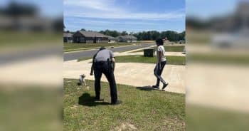 Dog Refuses to Go Home, Until Deputies Bring Out the French Fries