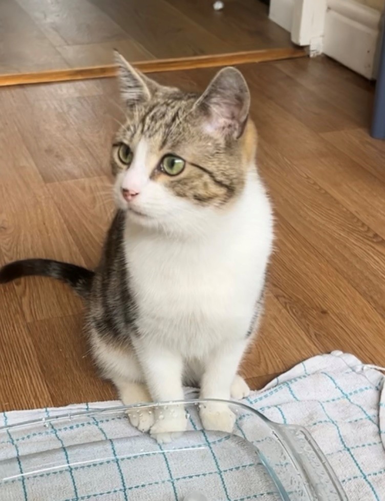 Uisce (pronounced ishka)