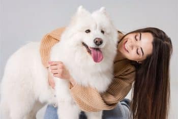 15 Fluffy Dog Breeds Everyone Loves To Hug