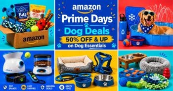 Amazon Prime Day Just Cut These Dog Favorites by 50% or More