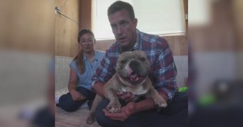 Rescuers Found a Dog With a Broken Paw, Broken Hip, and a Heart Full of Hope