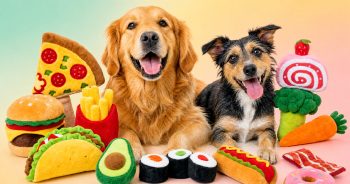 13 Food-Themed Dog Toys From Chewy That Are Seriously Cute