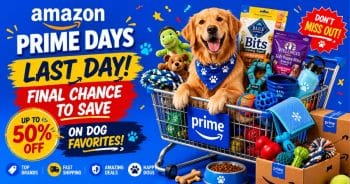 Amazon Prime Day Ends Today: Last Call for These Dog Deals!