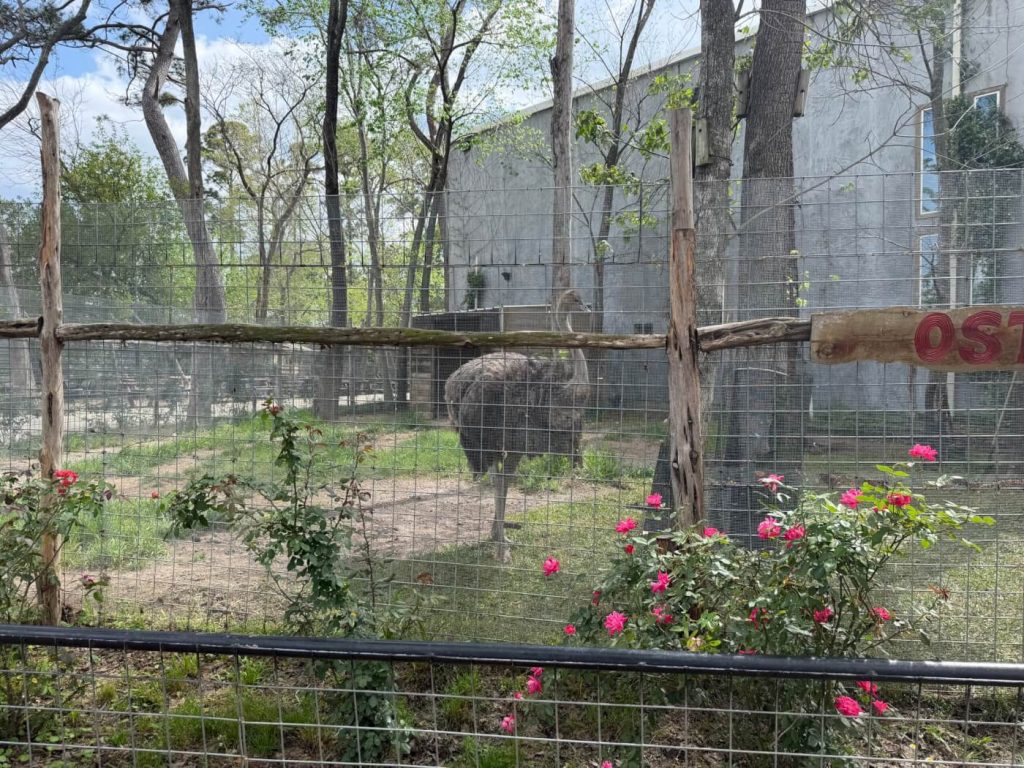 PETA Complaint Exposes Shocking Conditions at Houston Interactive Aquarium