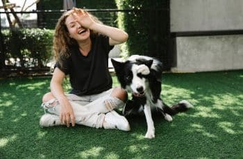 15 Smart Dog Breeds That Learn New Tricks Surprisingly Fast