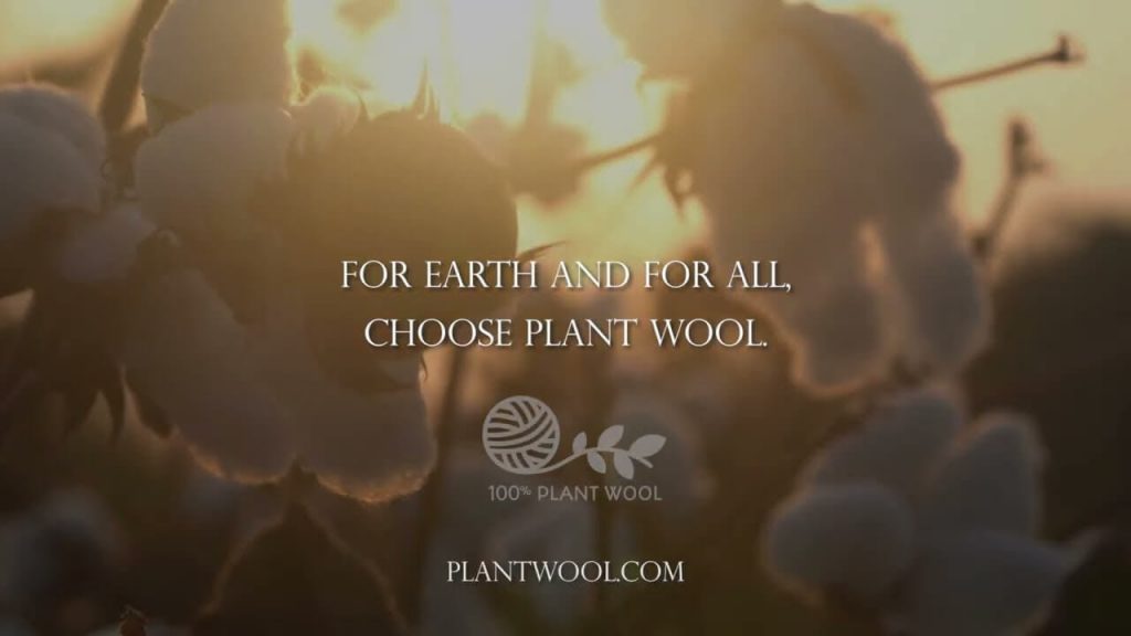 No Wool Allowed: Ibiza Fashion Festival Bans Animal-Derived Knits
