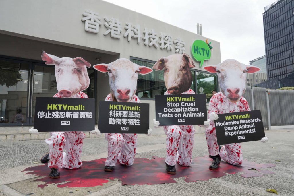 Campaign Updates: Animals Dismembered, Decapitated in Hong Kong Experiments