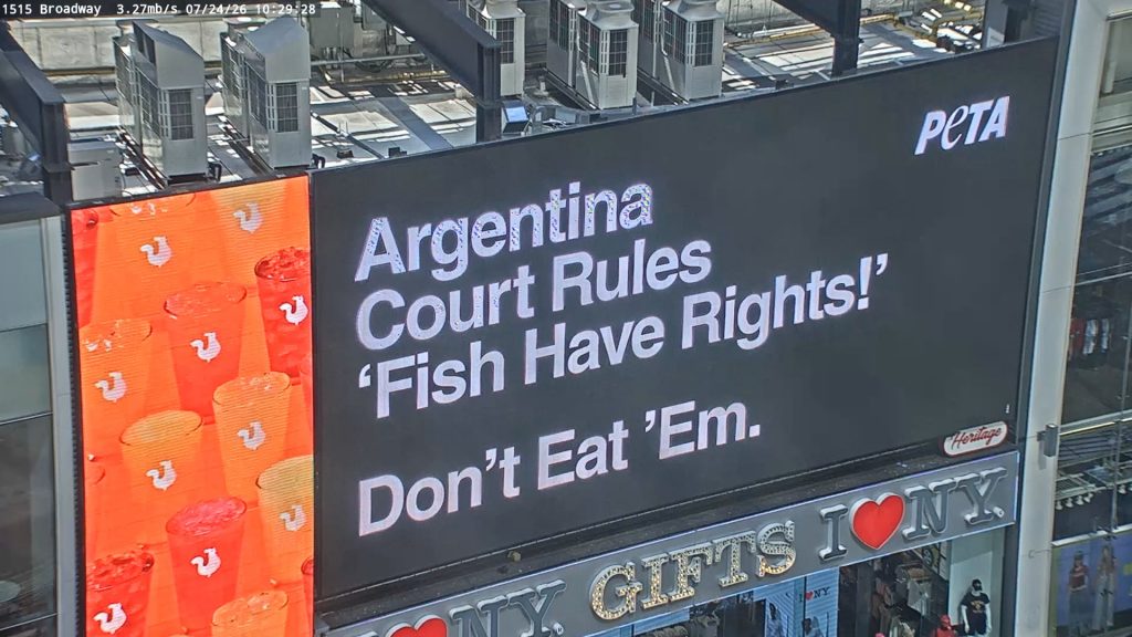 Argentina Court Rules That Fish Have Rights—and PETA Takes the Message to Times Square