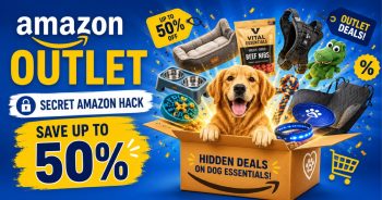 This Secret Amazon Hack Could Save You Up to 50% on Dog Essentials