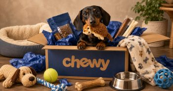If Your Dog Could Shop on Chewy, Here’s What They’d Buy