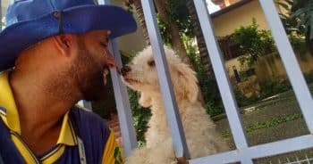 Dogs Usually Bark at the Mailman, but These Dogs Can’t Wait to See Him