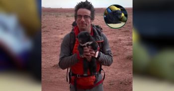 Abandoned Desert Puppy Becomes the Ultimate Adventure Buddy