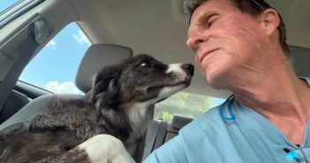 Fireworks Sent Mabel Running, but Her Community Brought Her Home