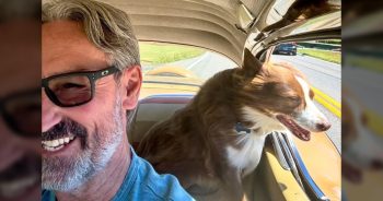 After Tragic Accident, ‘American Pickers’ Mike Wolfe Shares Heartbreaking Tribute to Beloved Dog
