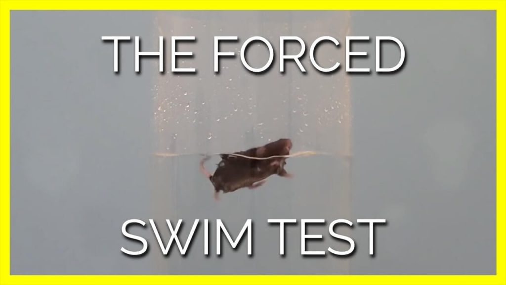 PETA Entities Sink Cruel Near-Drowning Experiments on Animals in Laboratories Worldwide