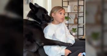 Rescue Dog Can’t Stop Cuddling the Little Girl Who Chose Him