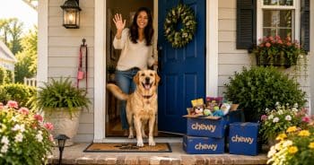The Best Chewy Finds for Every Room in Your Dog-Friendly Home 