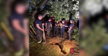 Dachshund Disappears Into Backyard Hole, Sparking a 5-Hour Underground Rescue