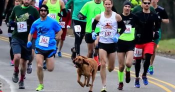 Bloodhound Crashes a Half-Marathon and Accidentally Finishes 7th