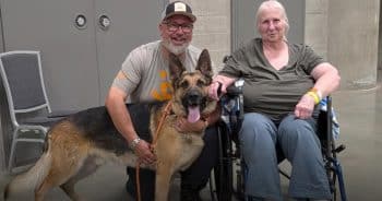 Dog Saves His Owner’s Life as Wildfire Engulfs Everything Around Them