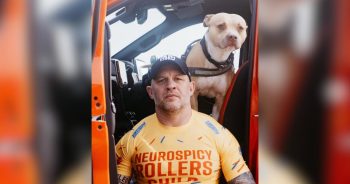 Tom Hardy May Play Tough Guys, But Rescue Dogs Have Always Had His Heart